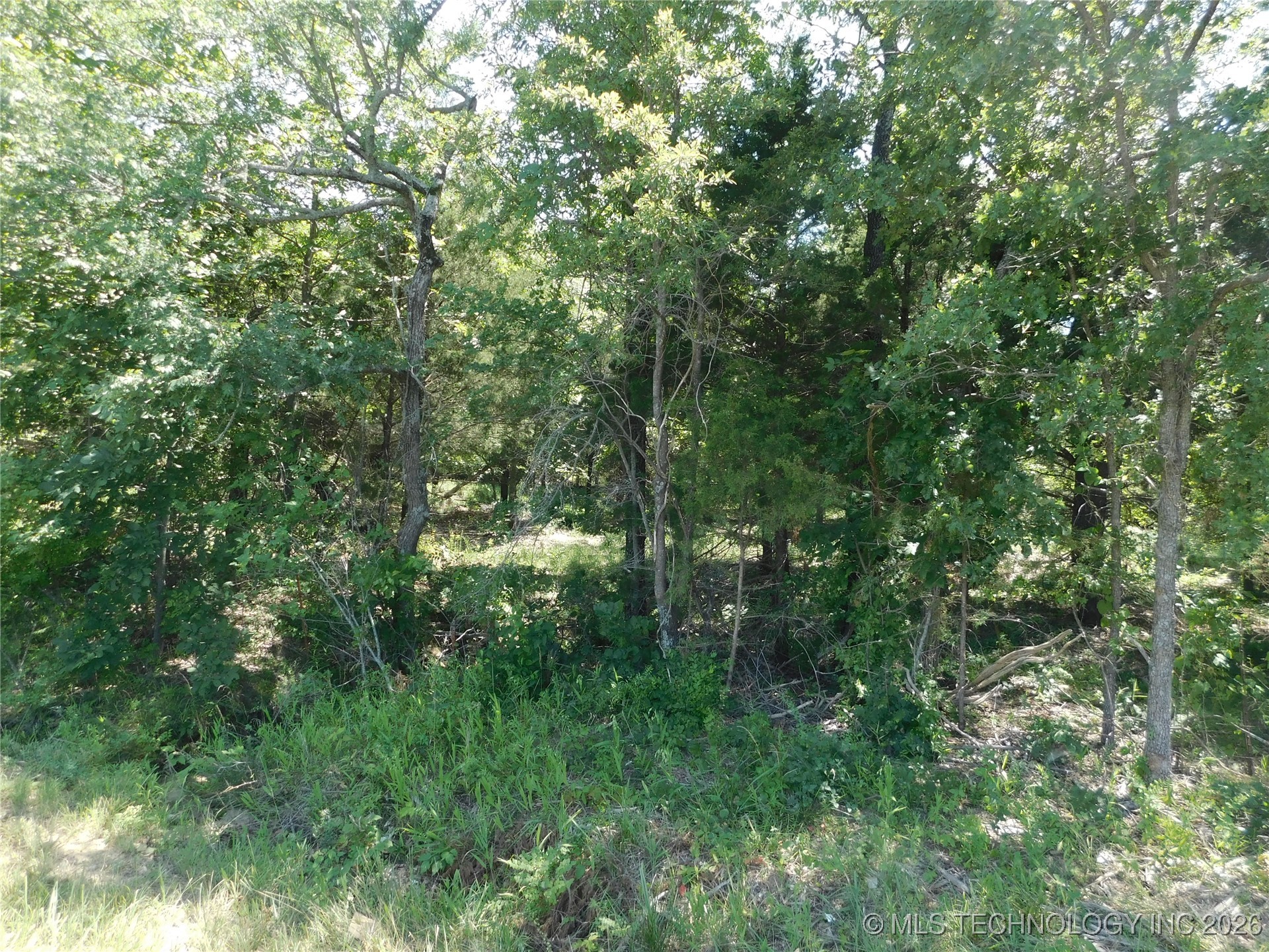 Tannehill Road Property Photo 3