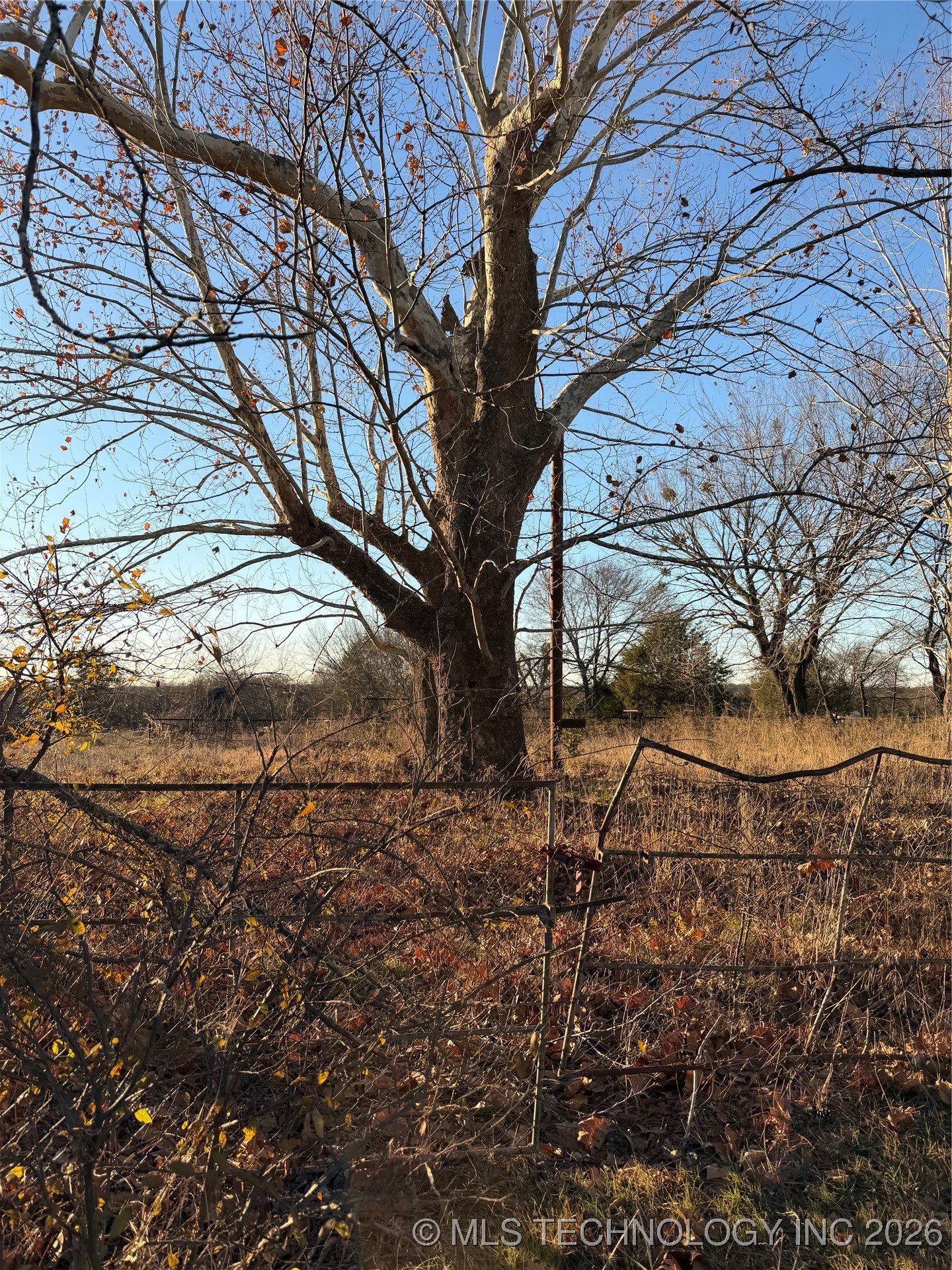 Highway 48 Property Photo 6