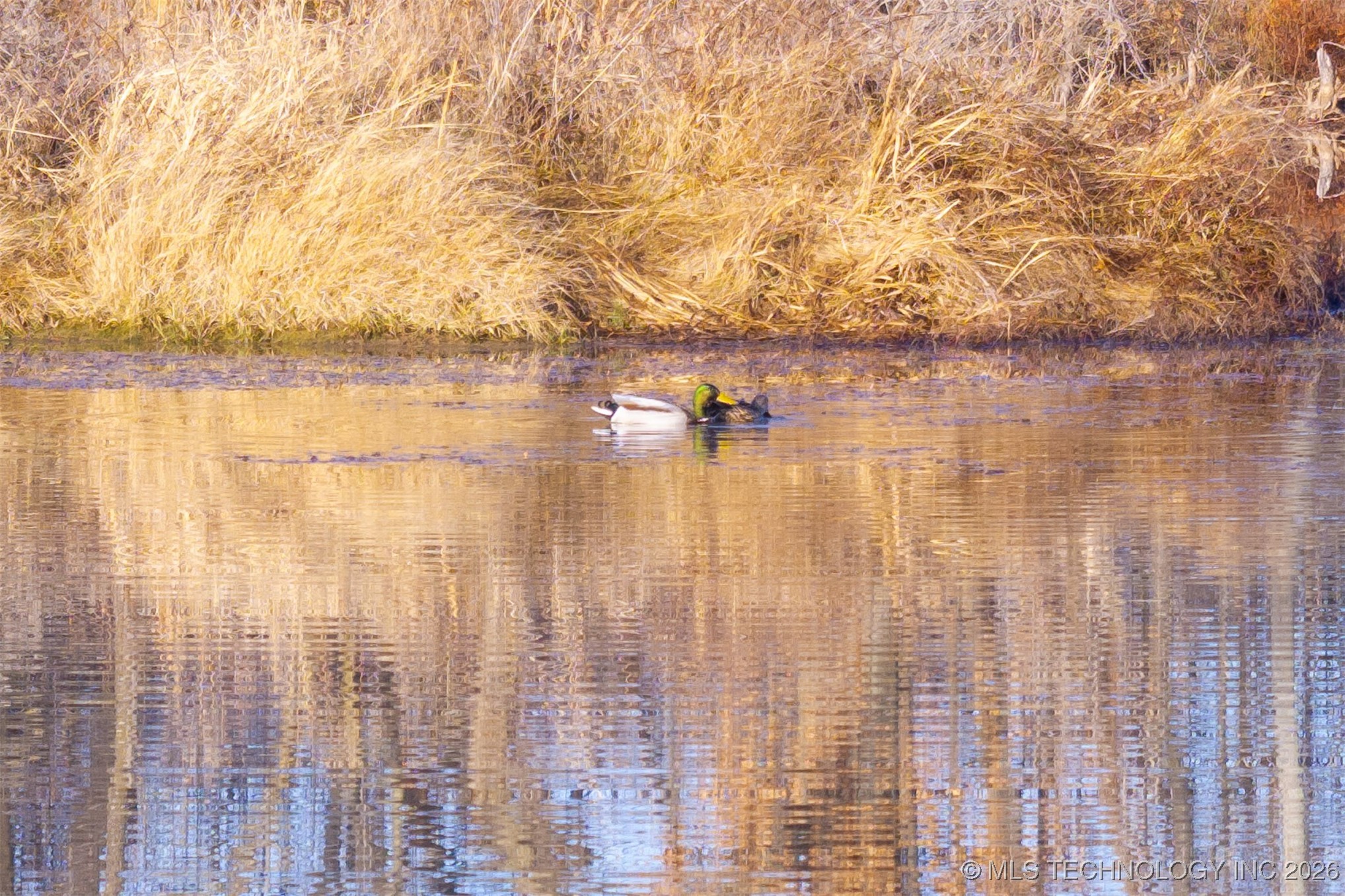 3821 S 194th Street W Property Photo 17