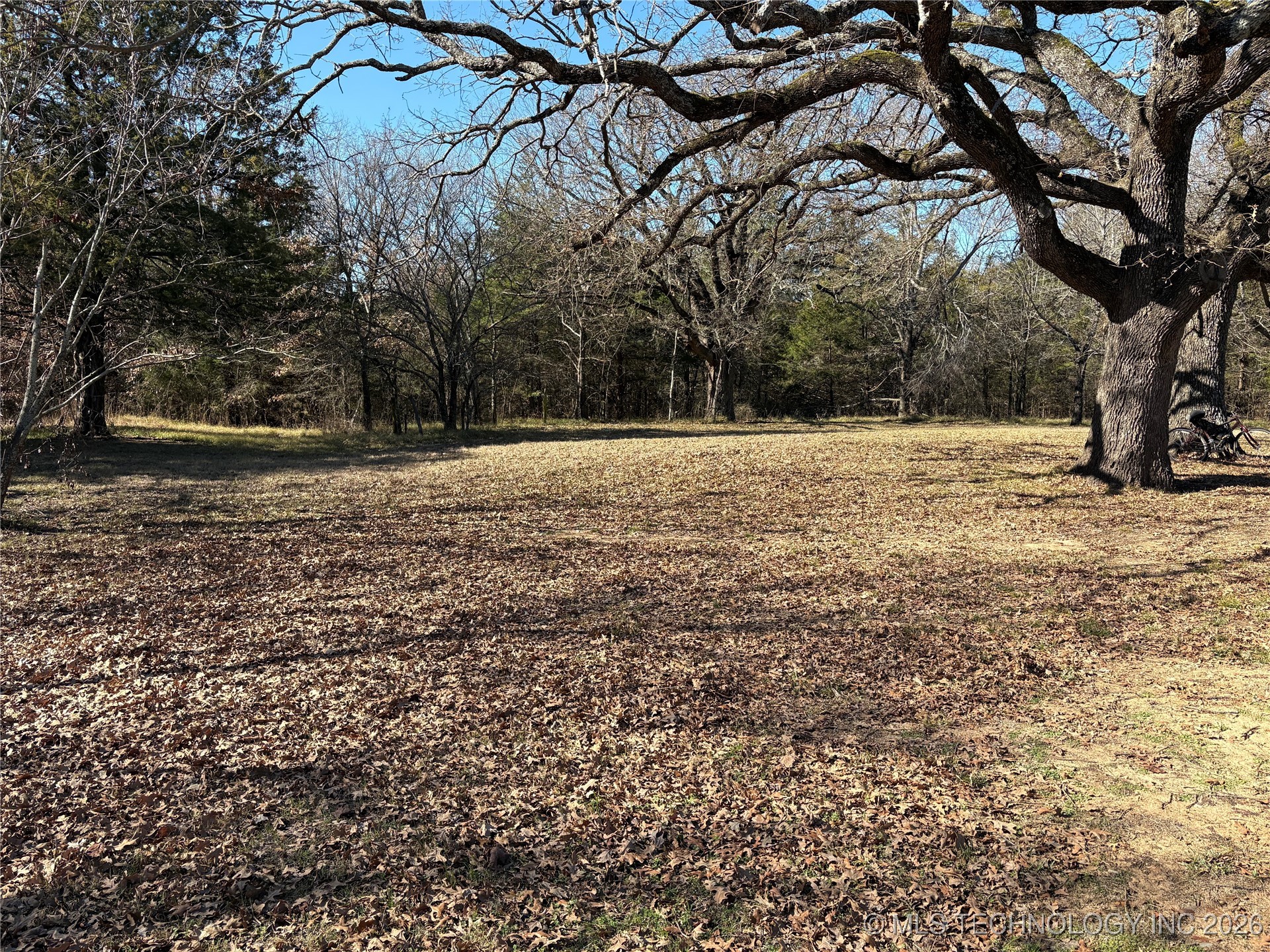 1183 Romia Property Photo 36