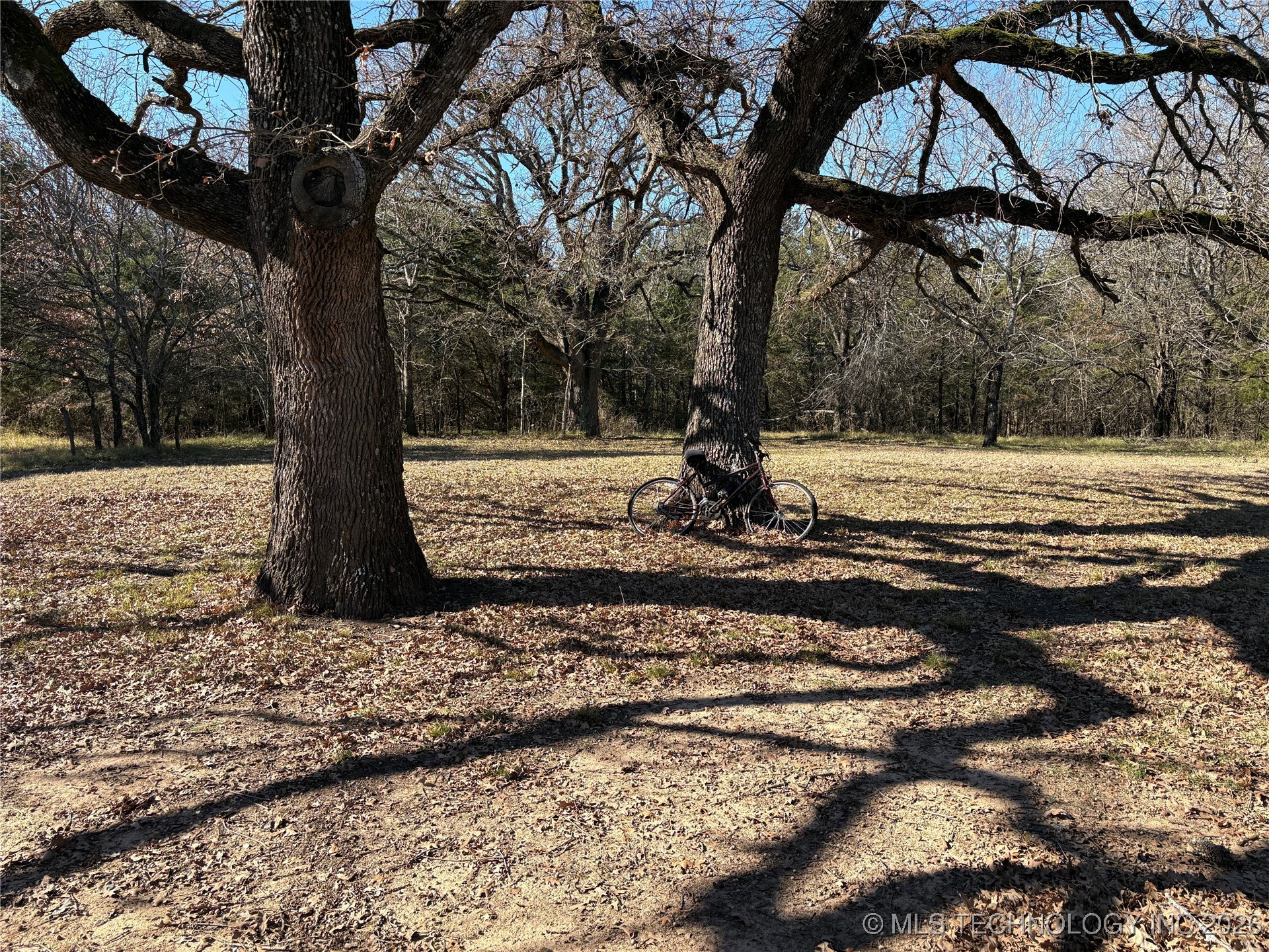 1183 Romia Property Photo 37