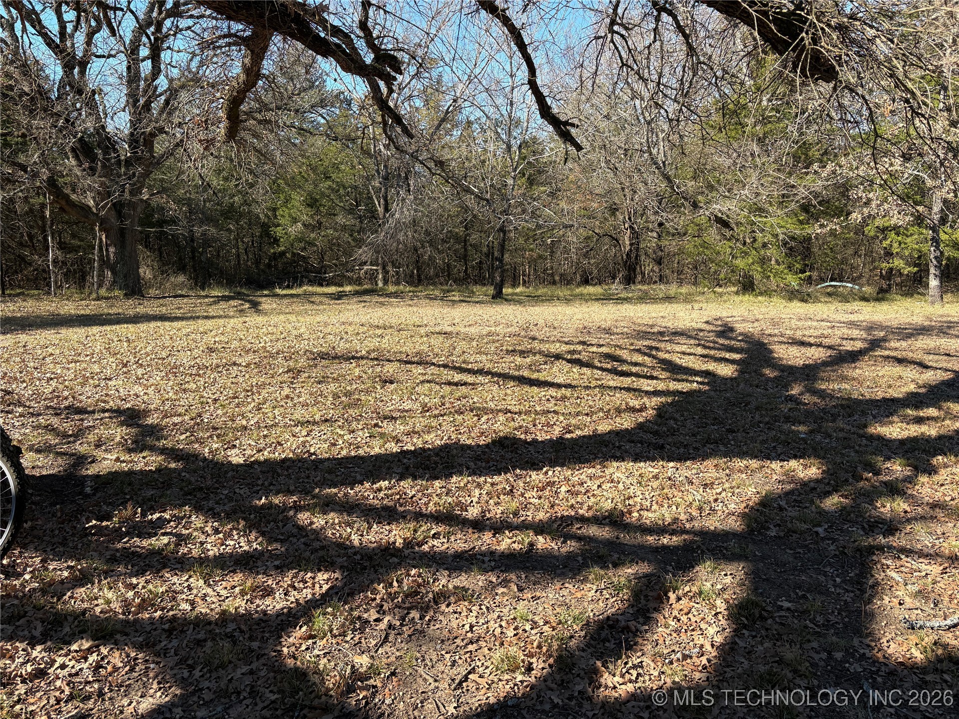 1183 Romia Property Photo 39