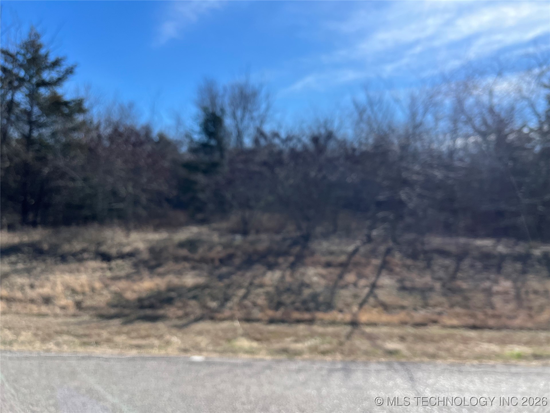 Smiley Road Property Photo 4