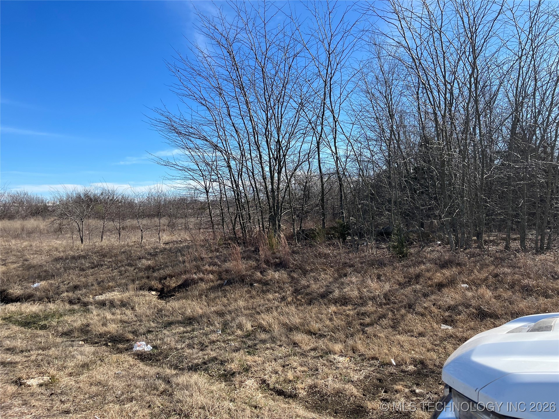 Smiley Road Property Photo 5