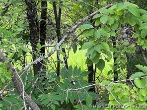 146th Road Property Photo 3