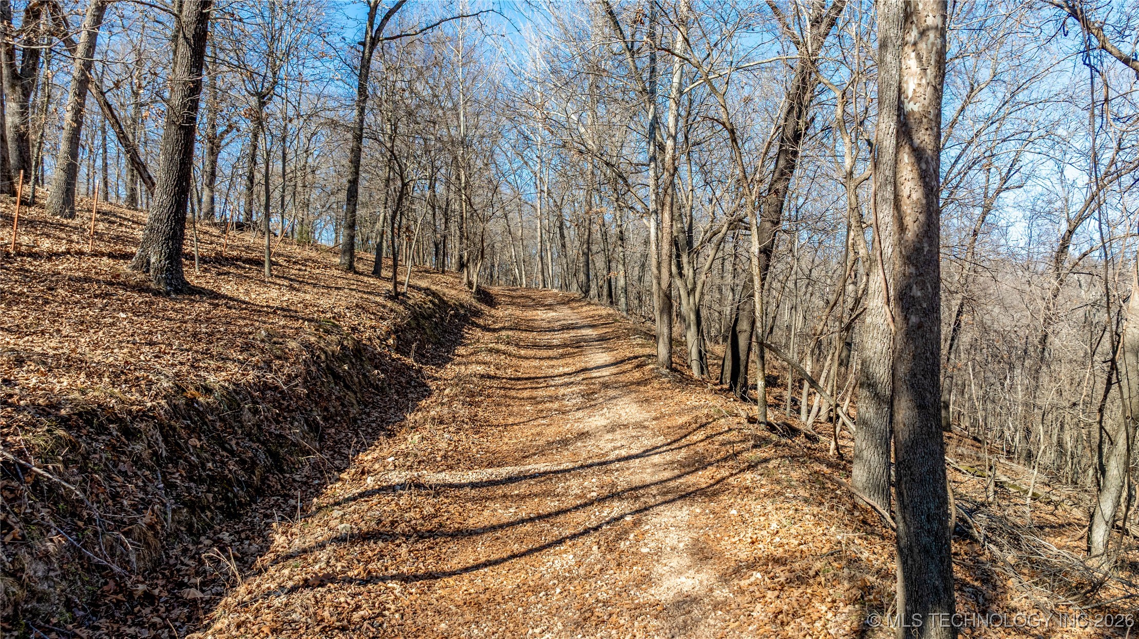 36015 S 545 Road Property Photo 7
