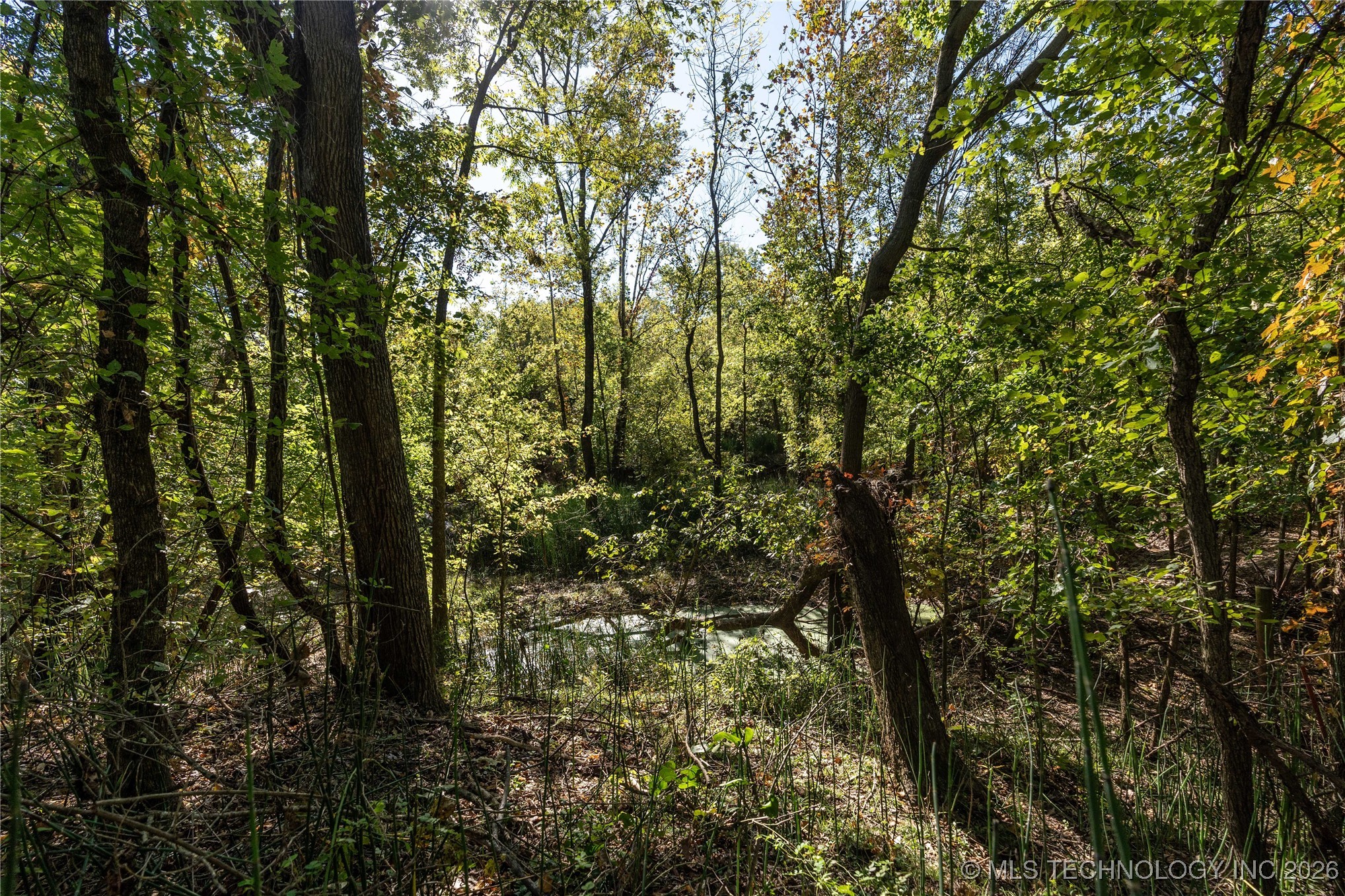 403238 E 1250 Property Photo 3