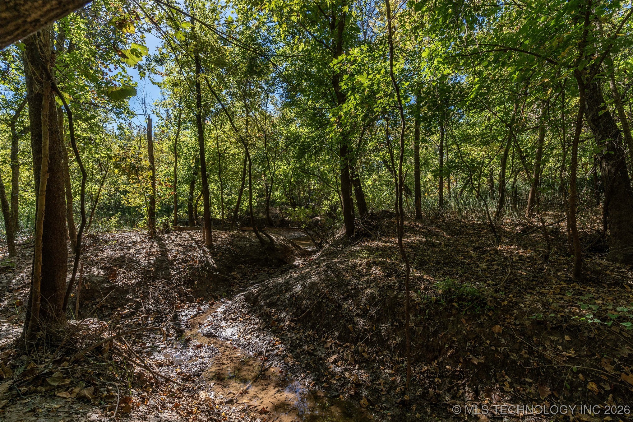 403238 E 1250 Property Photo 4