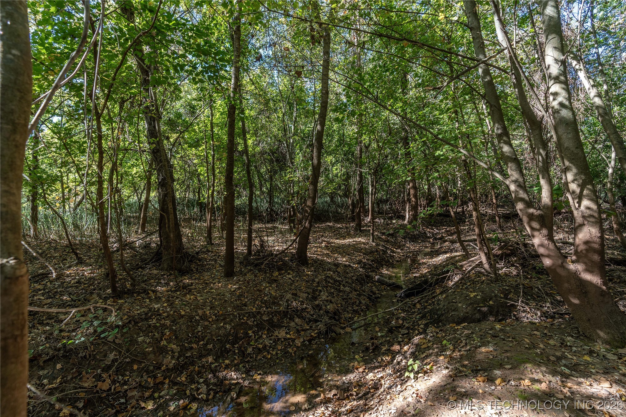 403238 E 1250 Property Photo 5