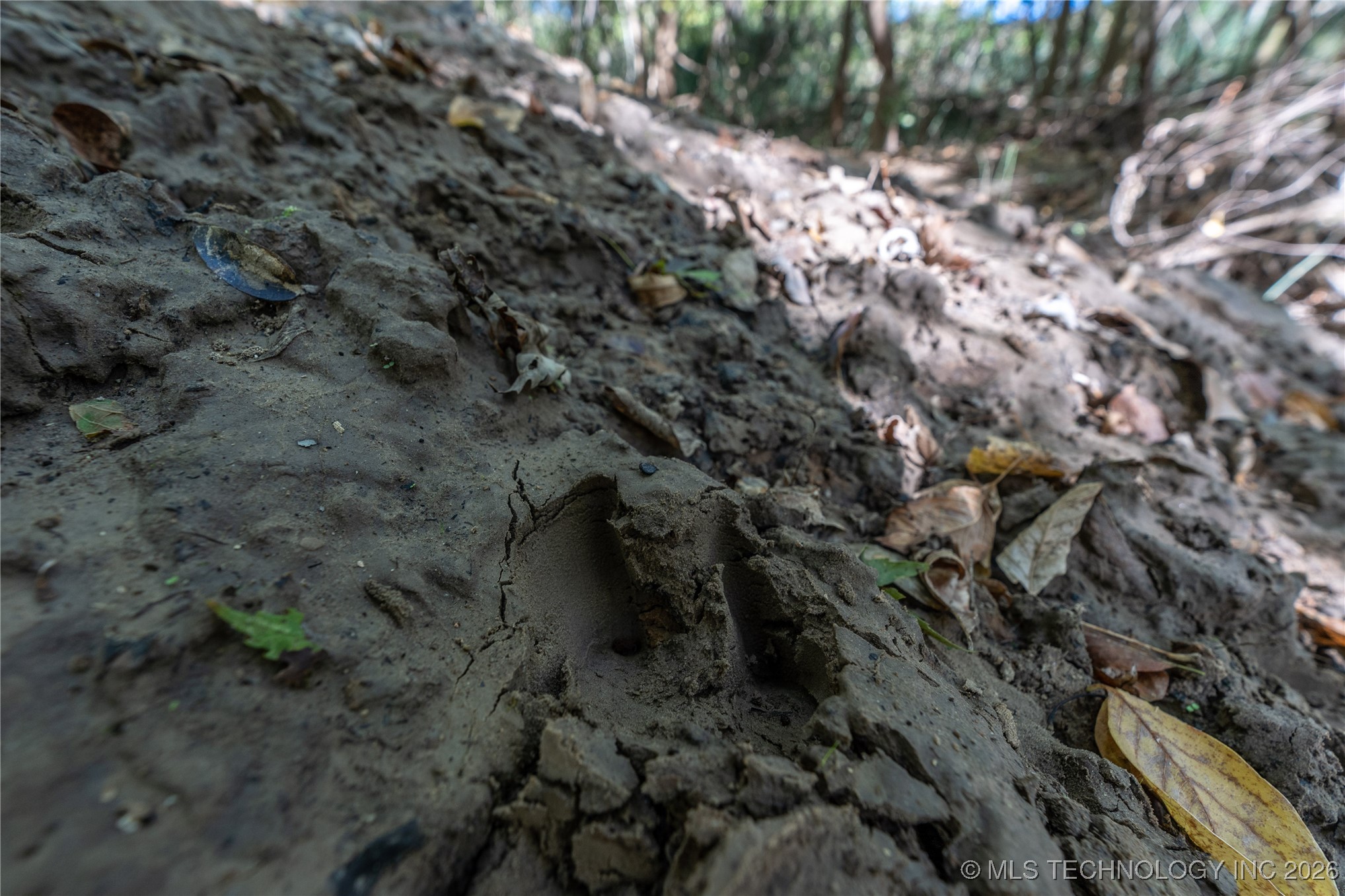 403238 E 1250 Property Photo 6