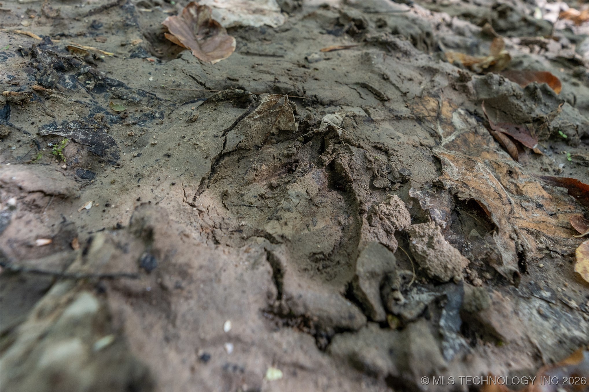 403238 E 1250 Property Photo 10