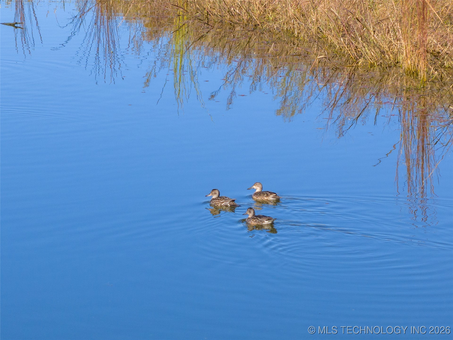 403238 E 1250 Property Photo 42
