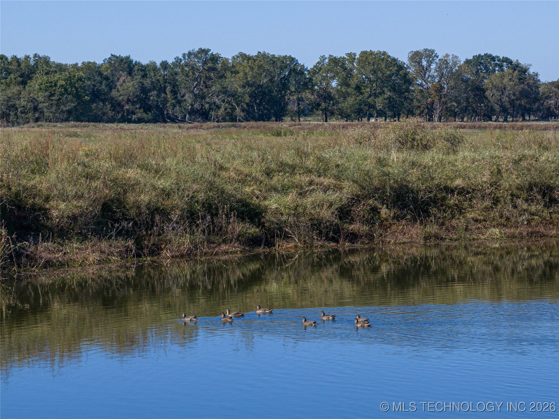403238 E 1250 Property Photo 43