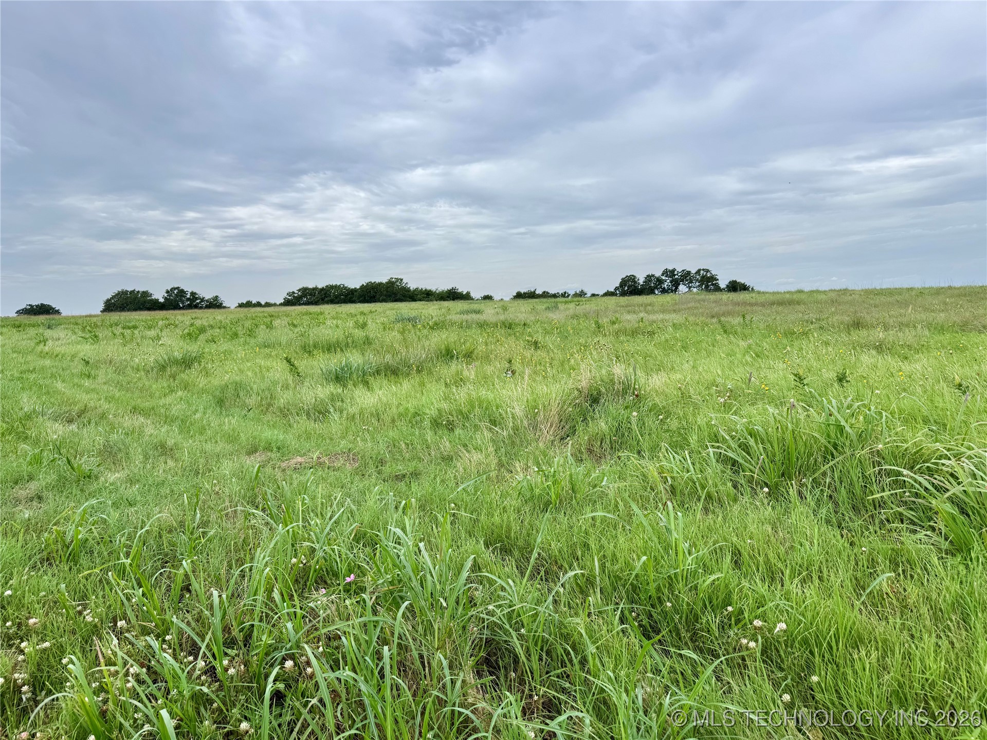 3695 No Man Road Property Photo 23