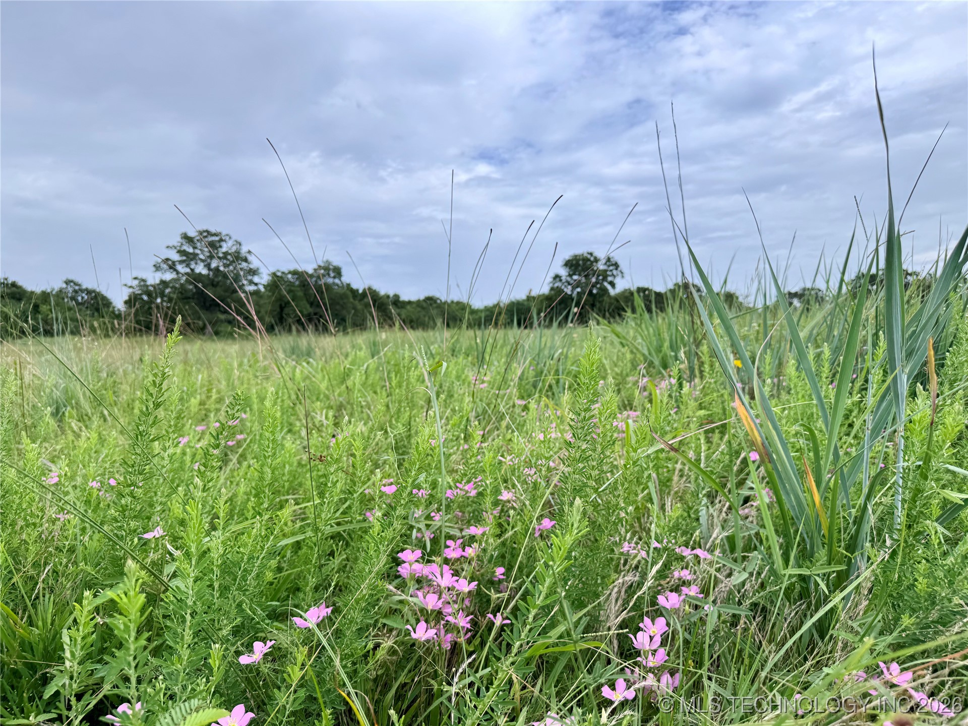 3695 No Man Road Property Photo 24