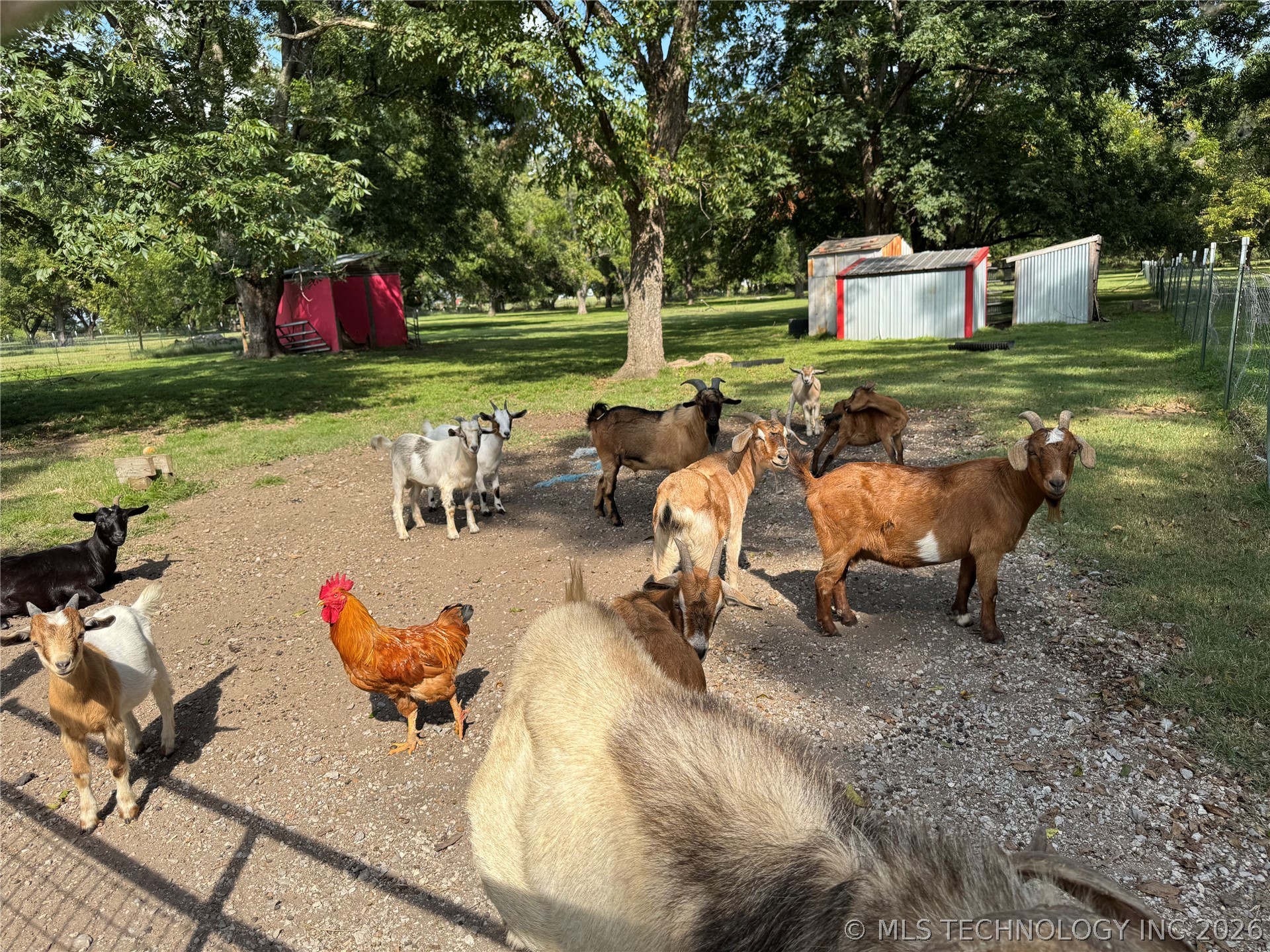 17405 S Garnett Road Property Photo 90