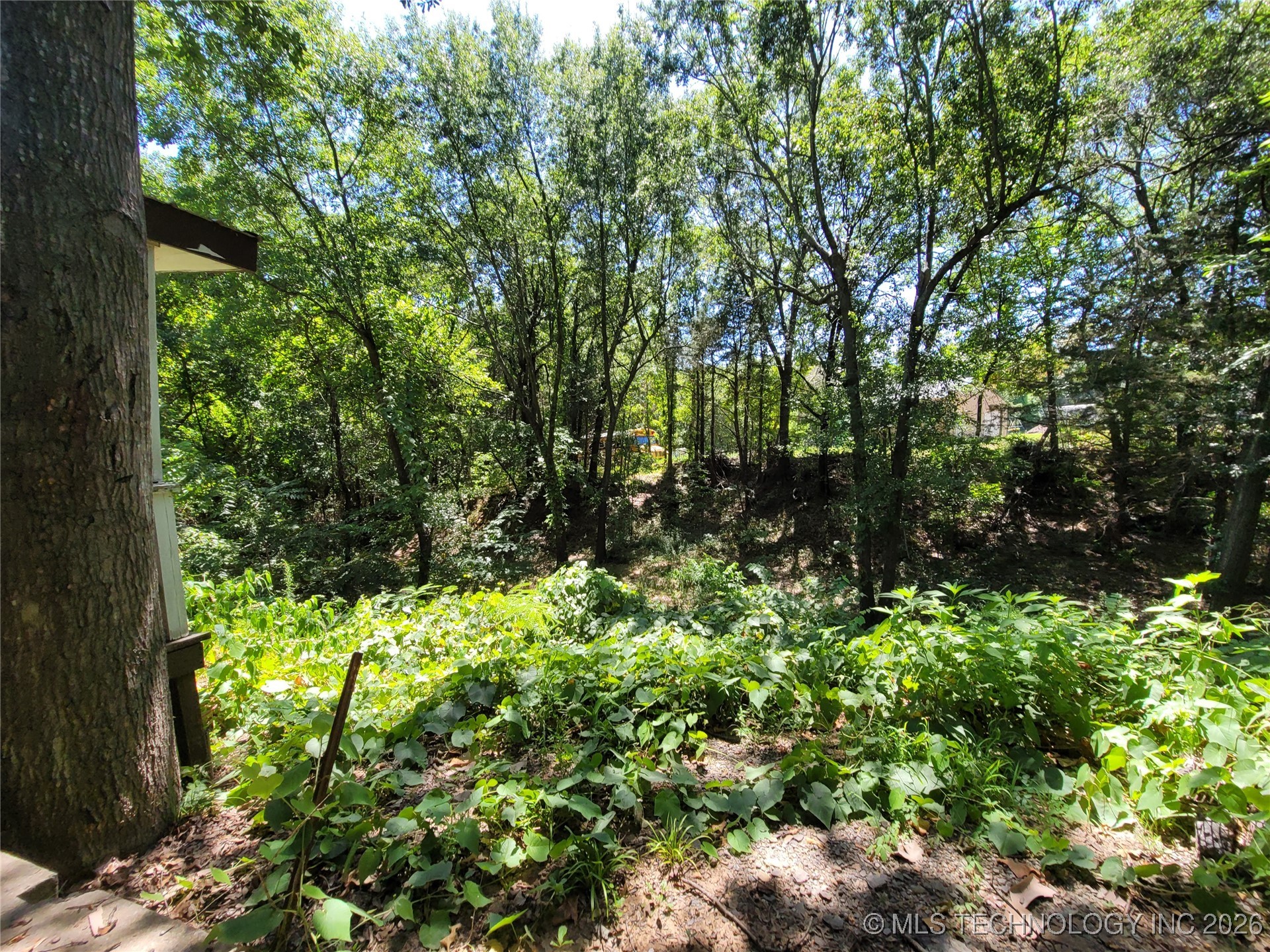 156 Bower Road Property Photo 15