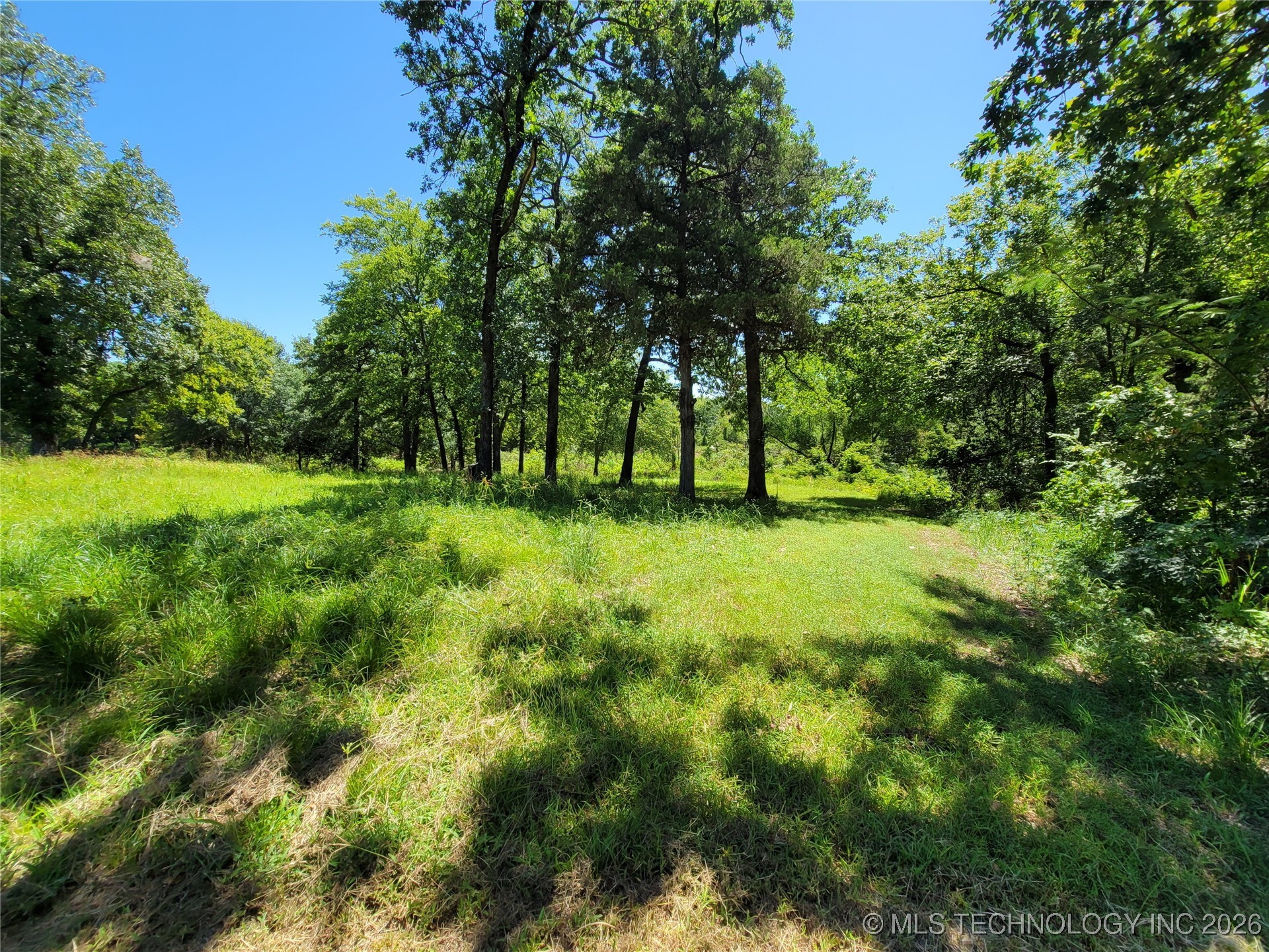 156 Bower Road Property Photo 18