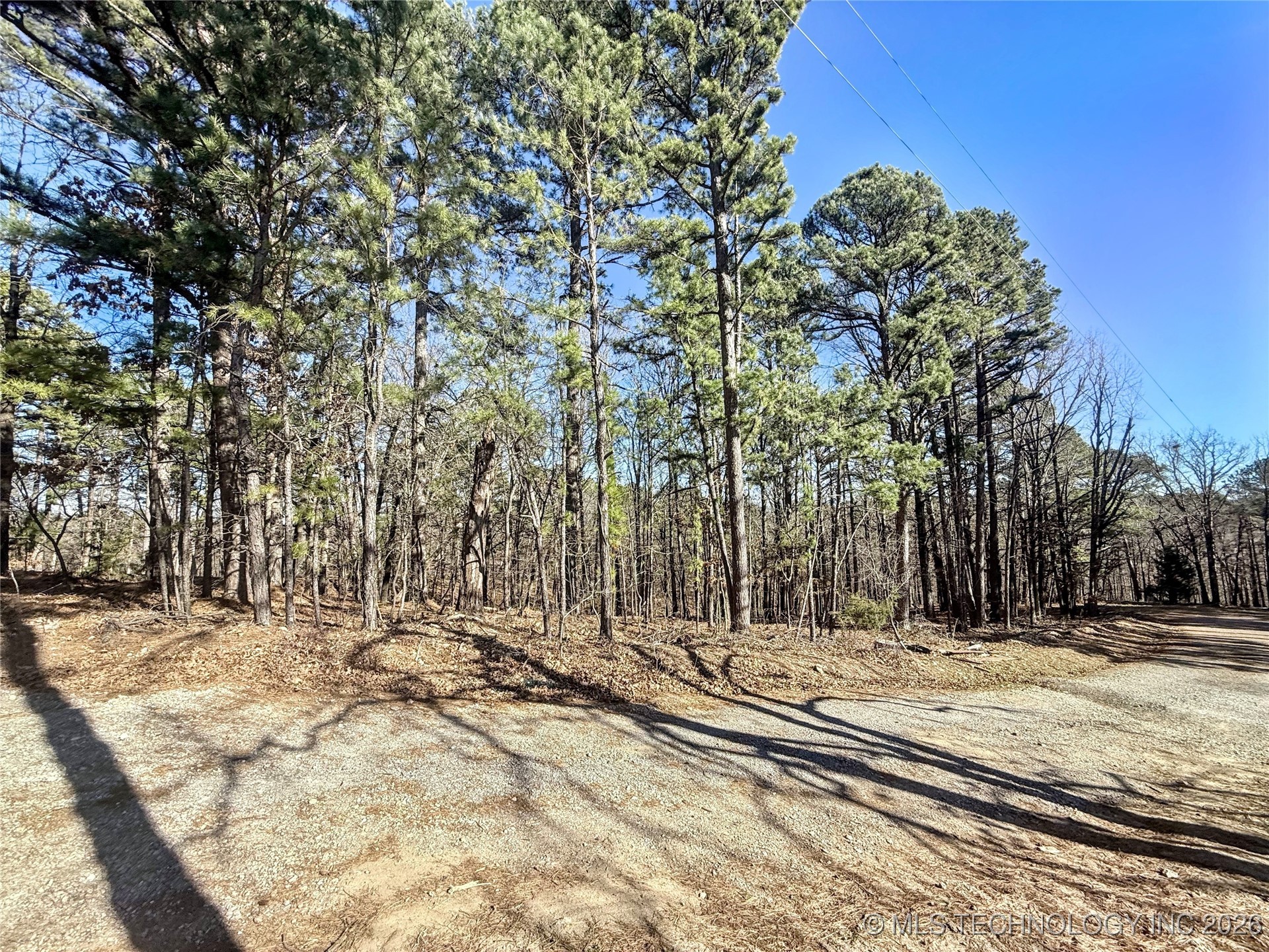 838 Ridge Water Trail Property Photo 4