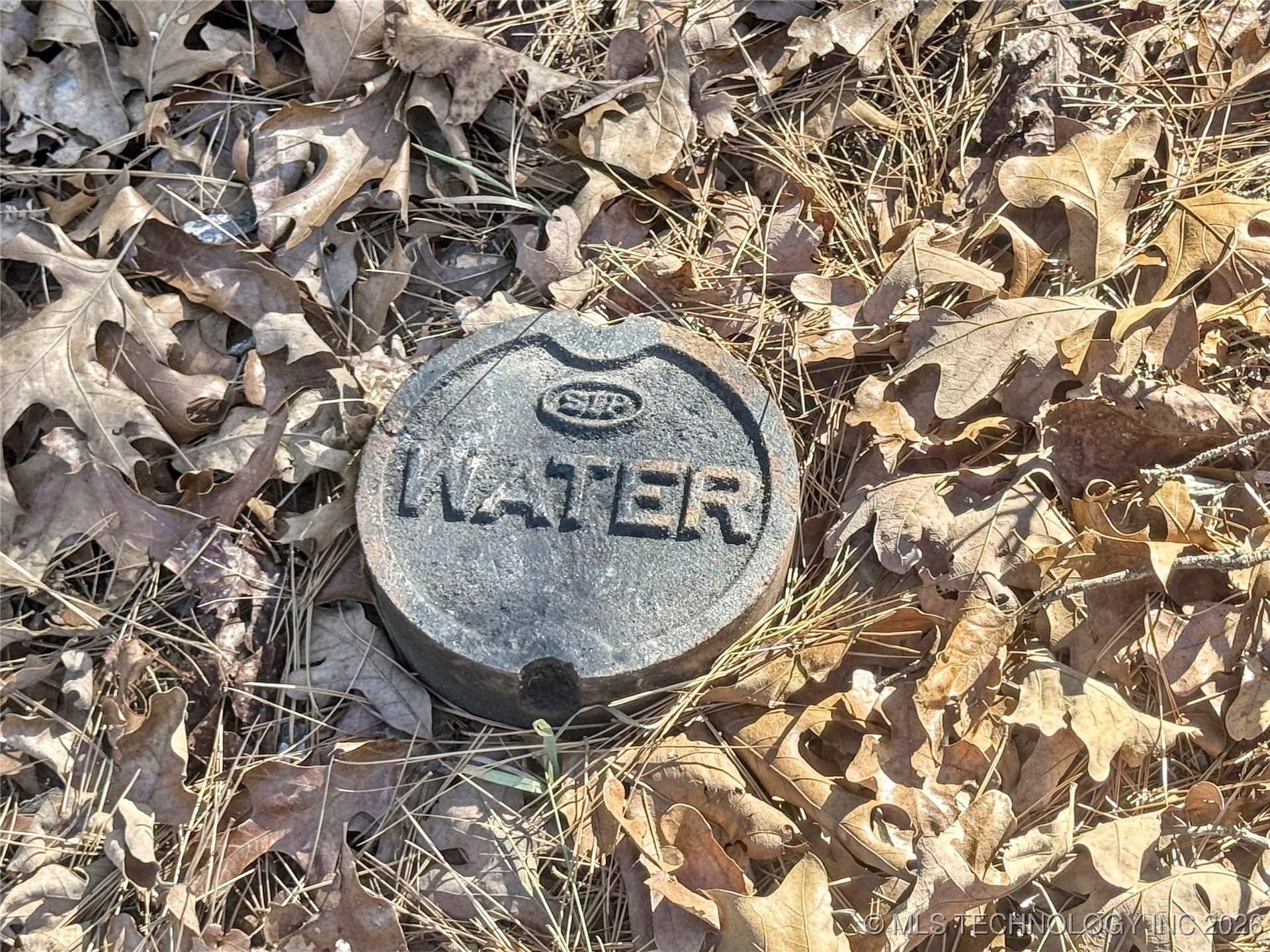 838 Ridge Water Trail Property Photo 6