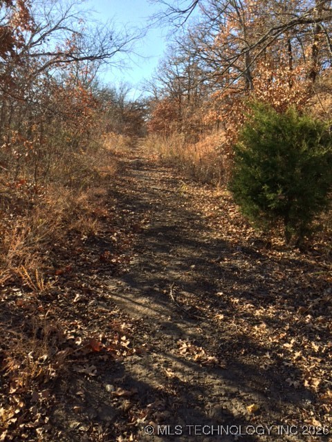 19 Breckenridge Street Property Photo 17