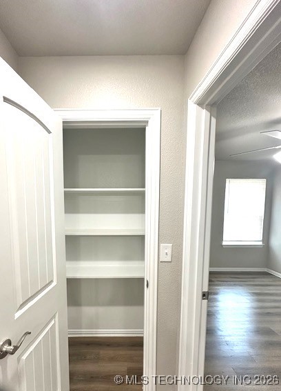 203 Kelly Street Property Photo 18