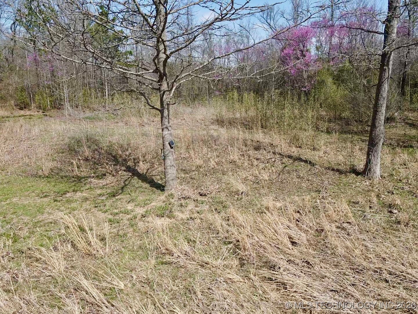 33970 State Hwy 144 Property Photo 58