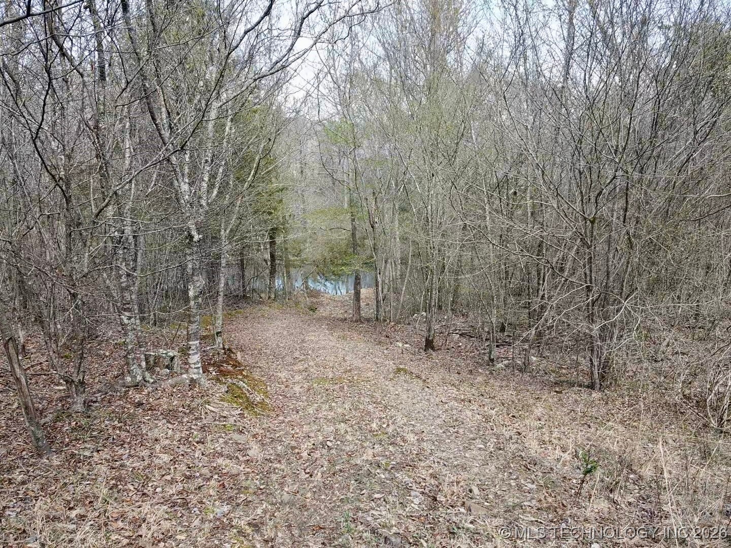 33970 State Hwy 144 Property Photo 75