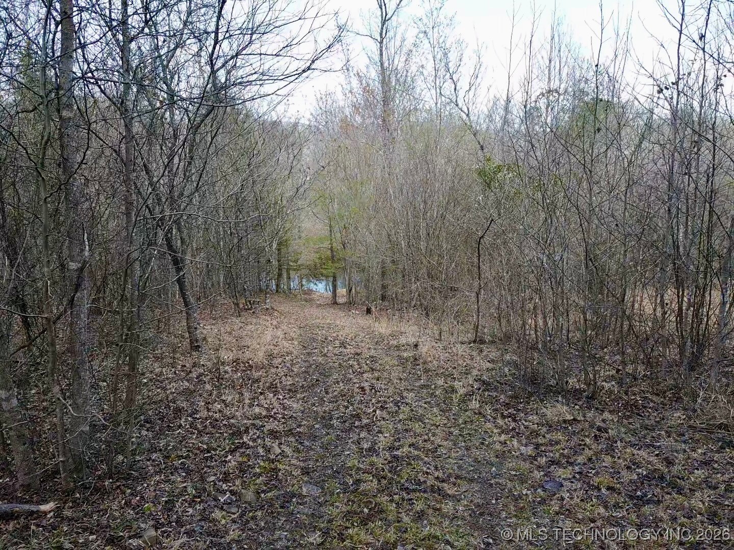 33970 State Hwy 144 Property Photo 78