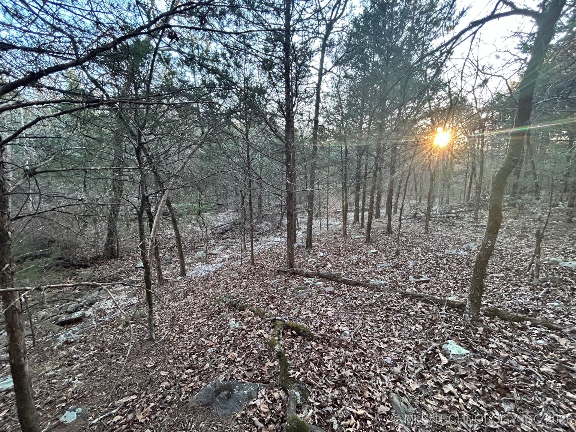 0000 S 4469 Property Photo 4