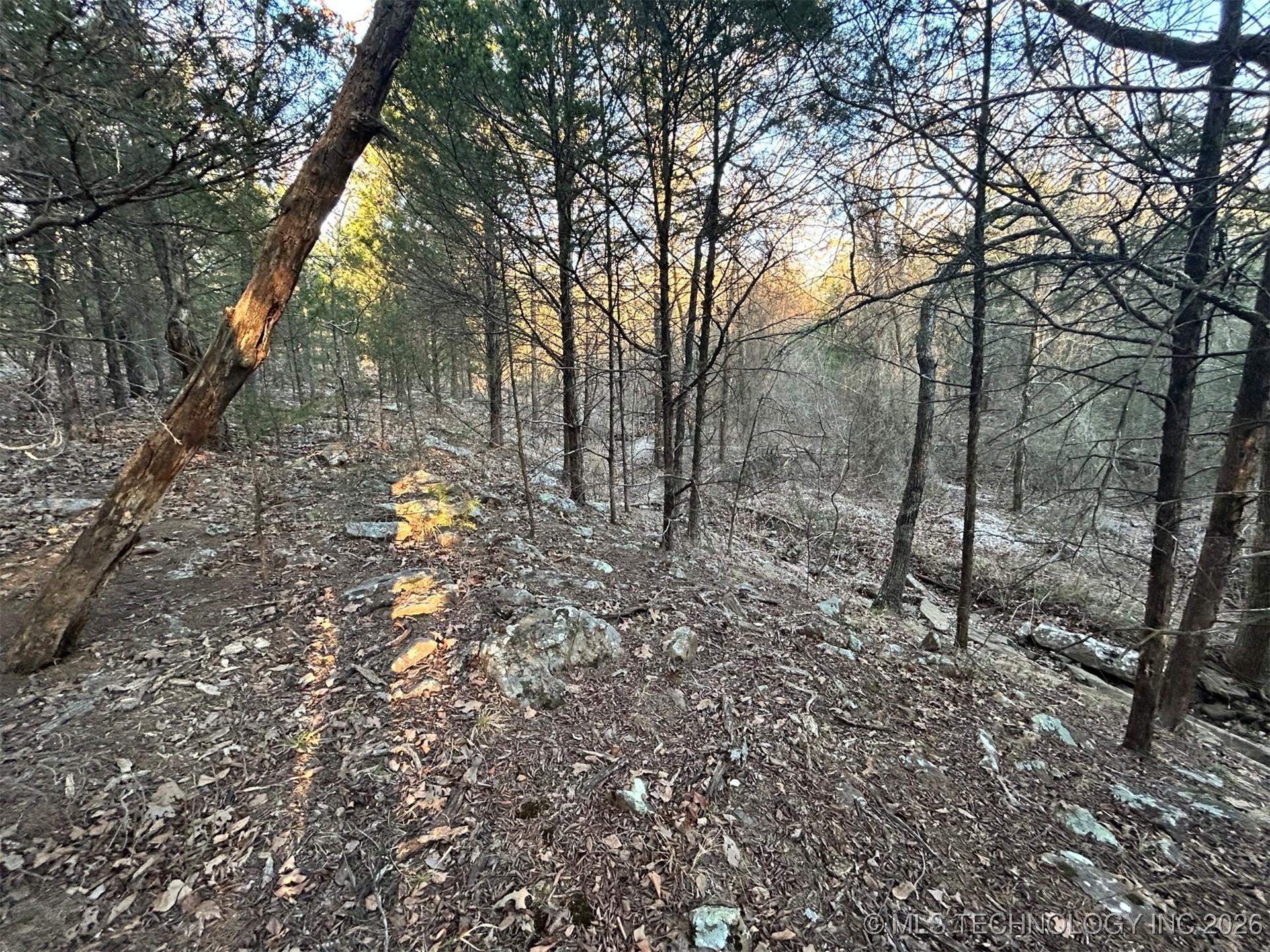 0000 S 4469 Property Photo 5