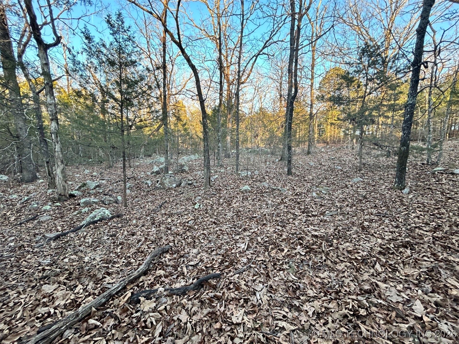 0000 S 4469 Property Photo 6