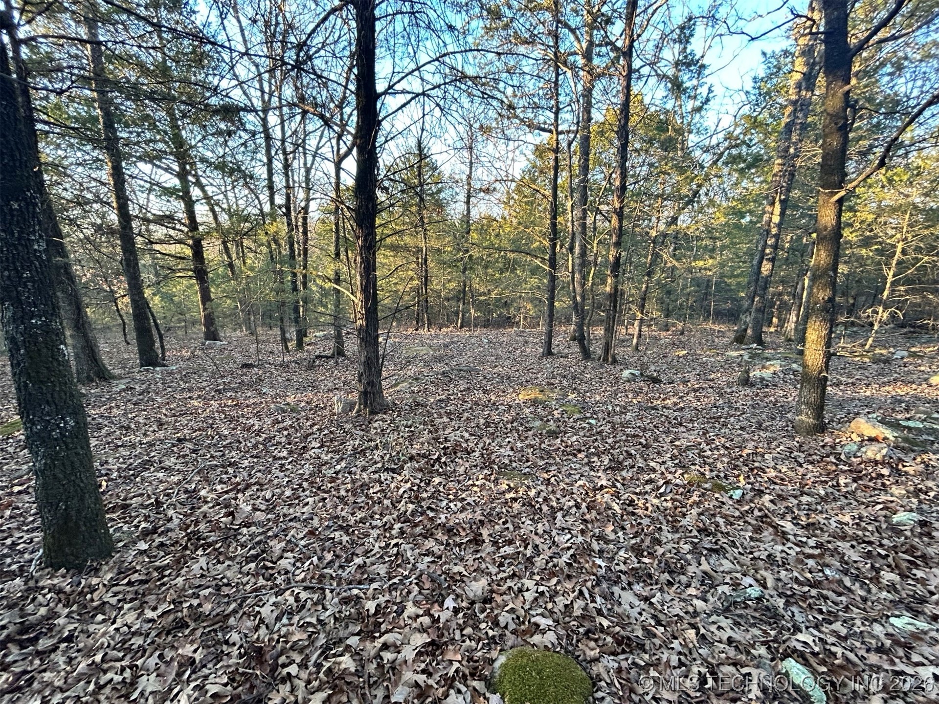 0000 S 4469 Property Photo 7