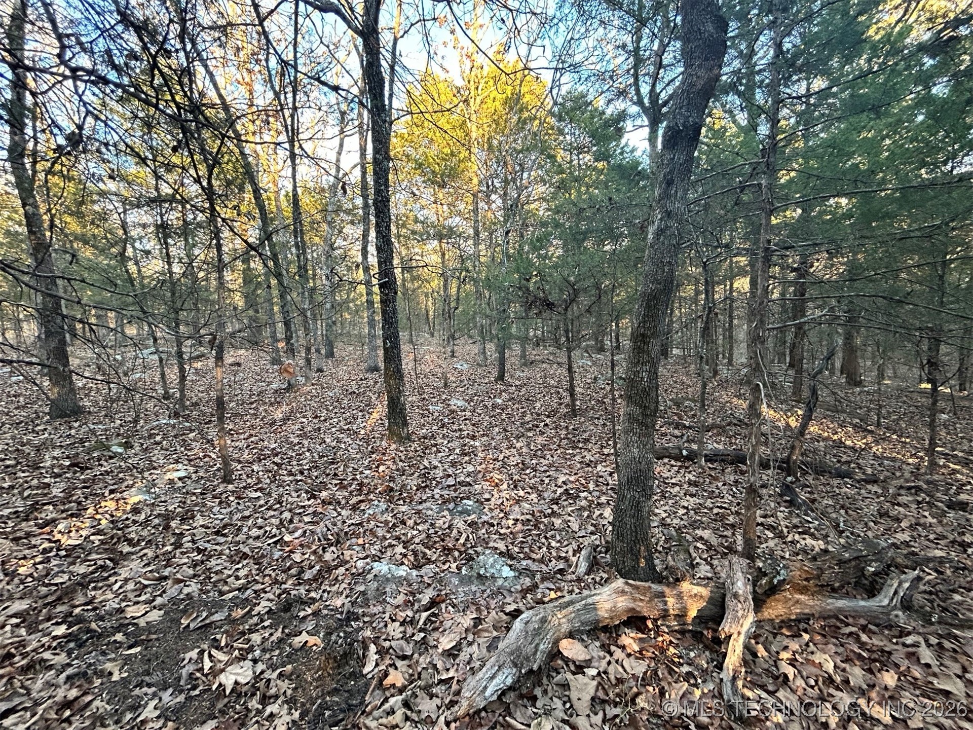 0000 S 4469 Property Photo 9