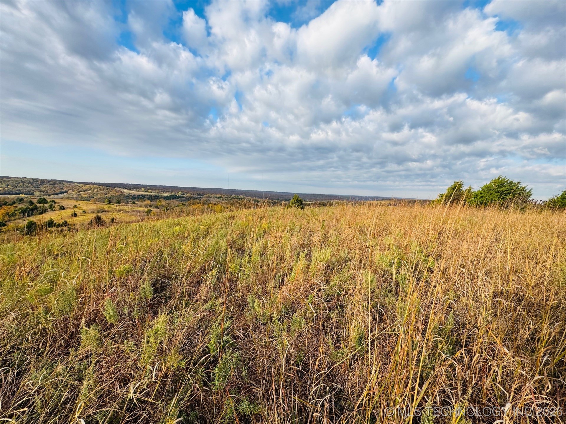 W 31st Street S Property Photo 47