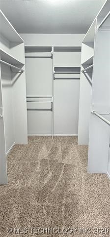 11003 S Nathan Street Property Photo 33