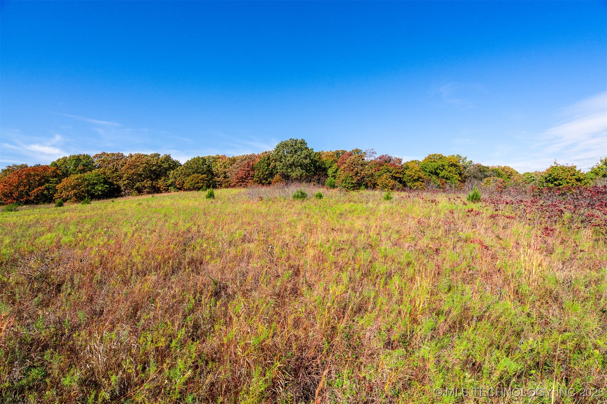 43rd Street N Property Photo 5