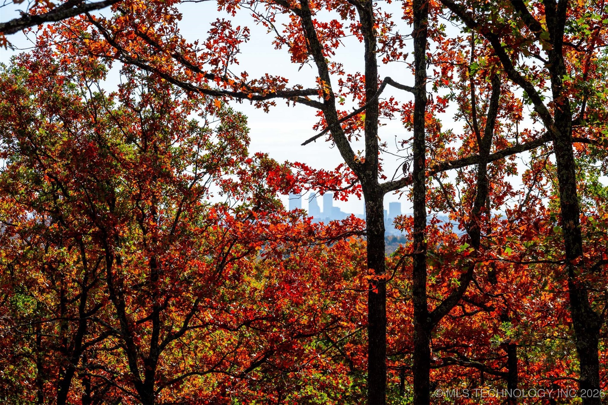 43rd Street N Property Photo 13