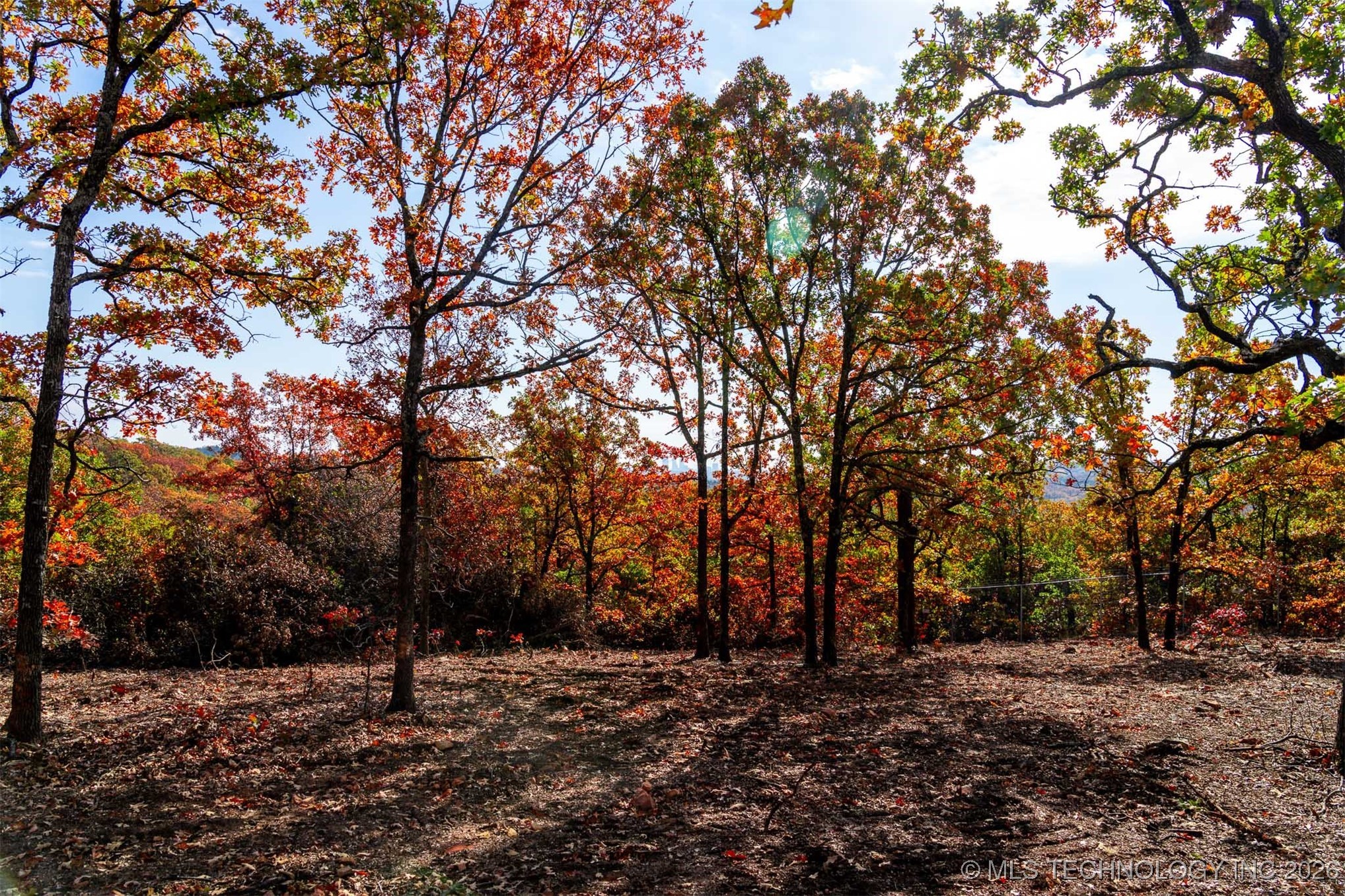 43rd Street N Property Photo 14