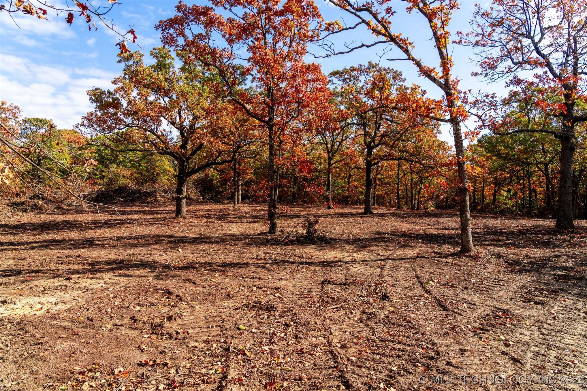 43rd Street N Property Photo 16