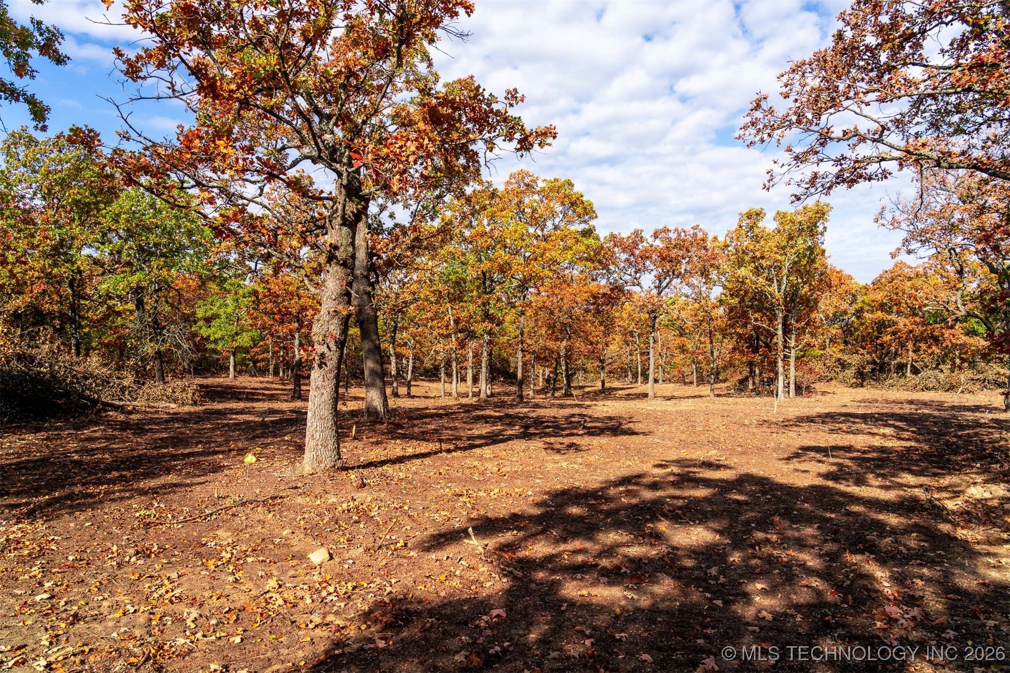 43rd Street N Property Photo 17