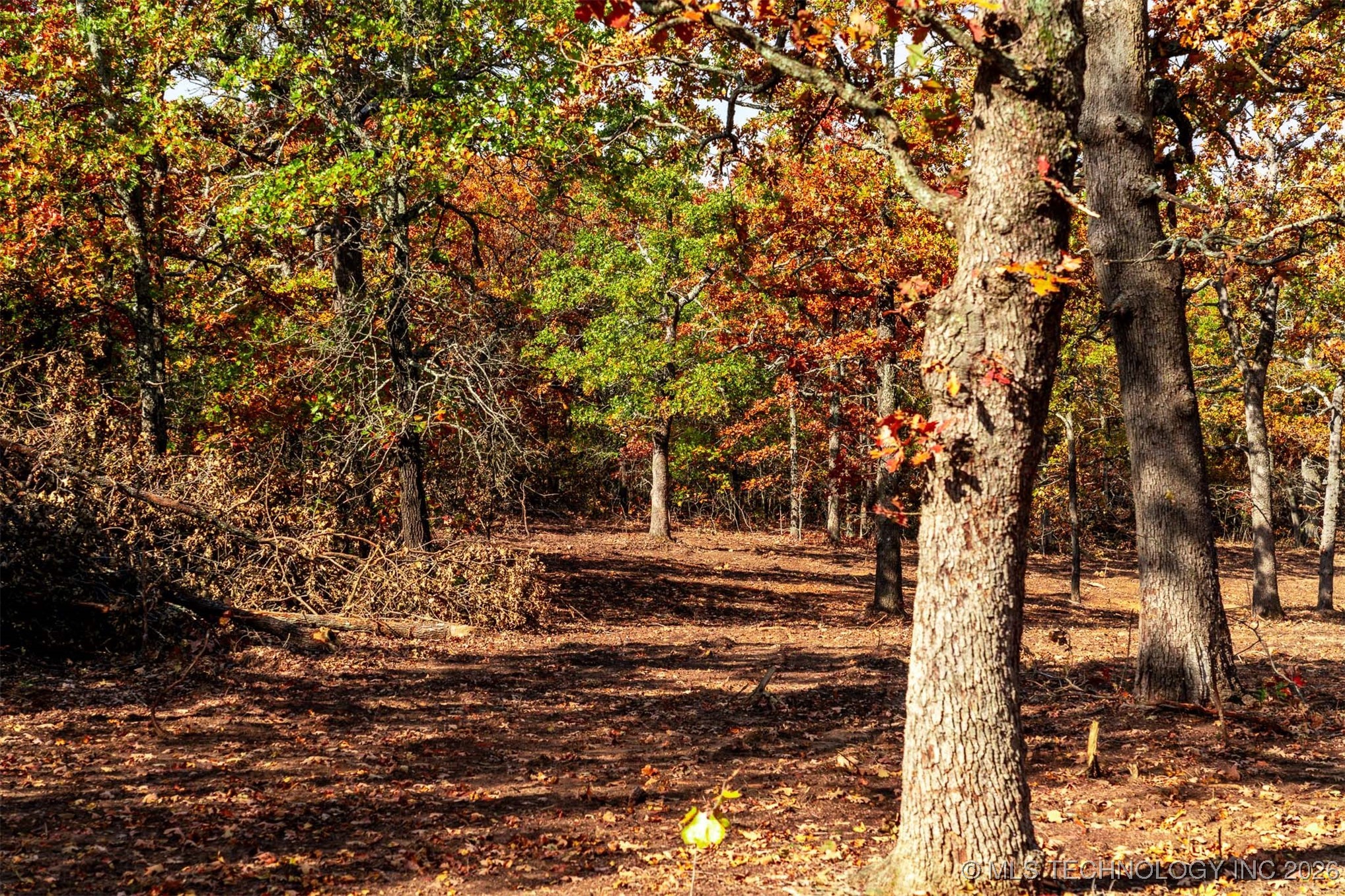 43rd Street N Property Photo 18