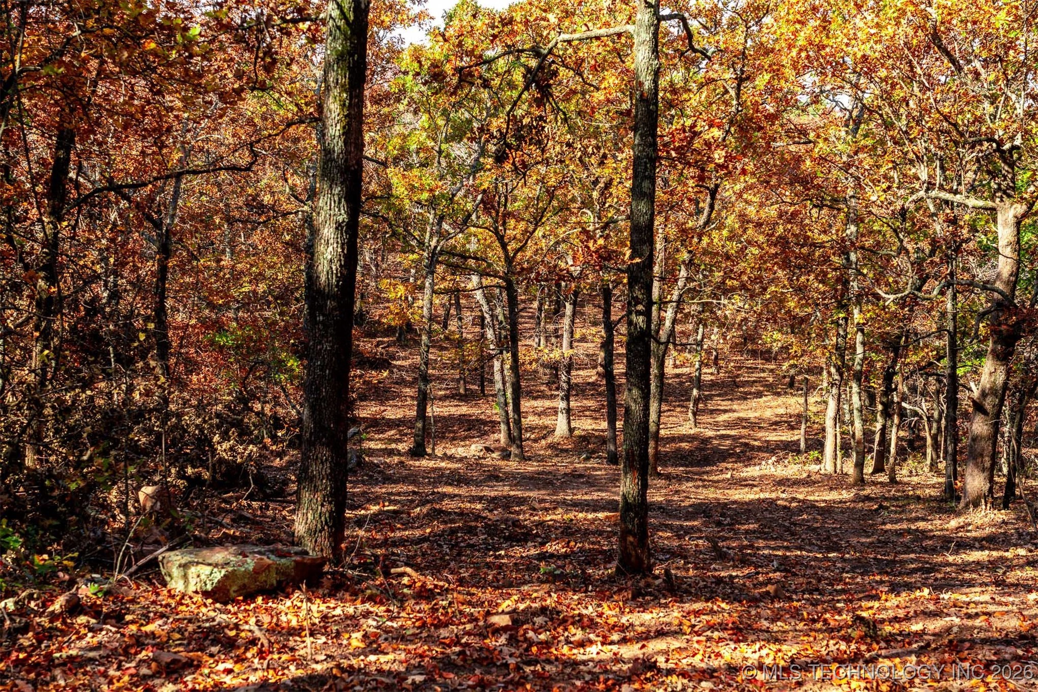 43rd Street N Property Photo 19