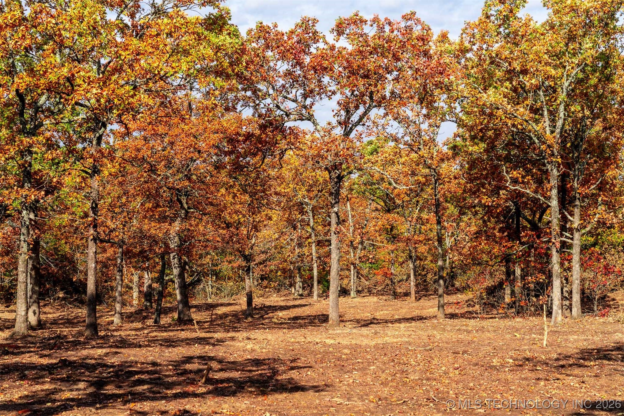 43rd Street N Property Photo 20