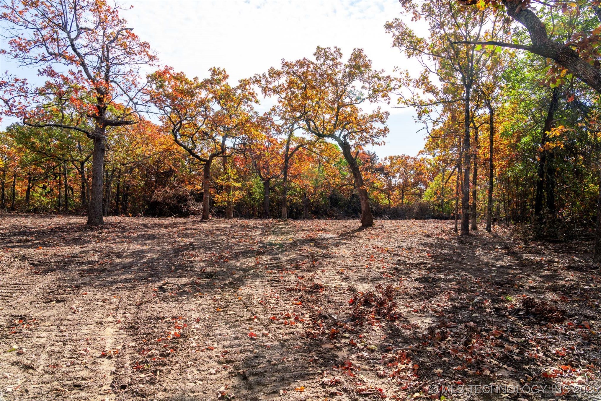 43rd Street N Property Photo 21