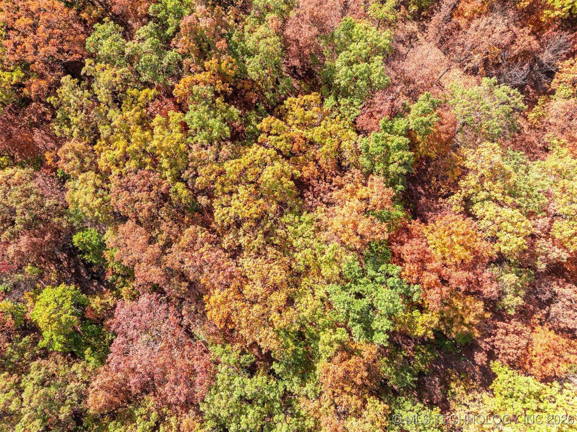 43rd Street N Property Photo 28