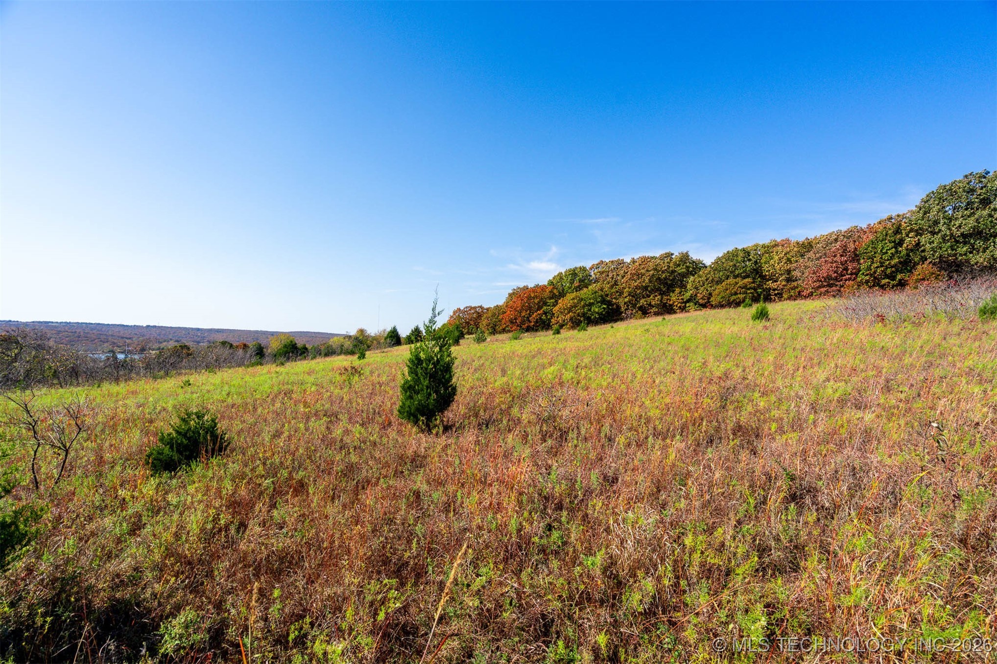 43rd Street N Property Photo 30