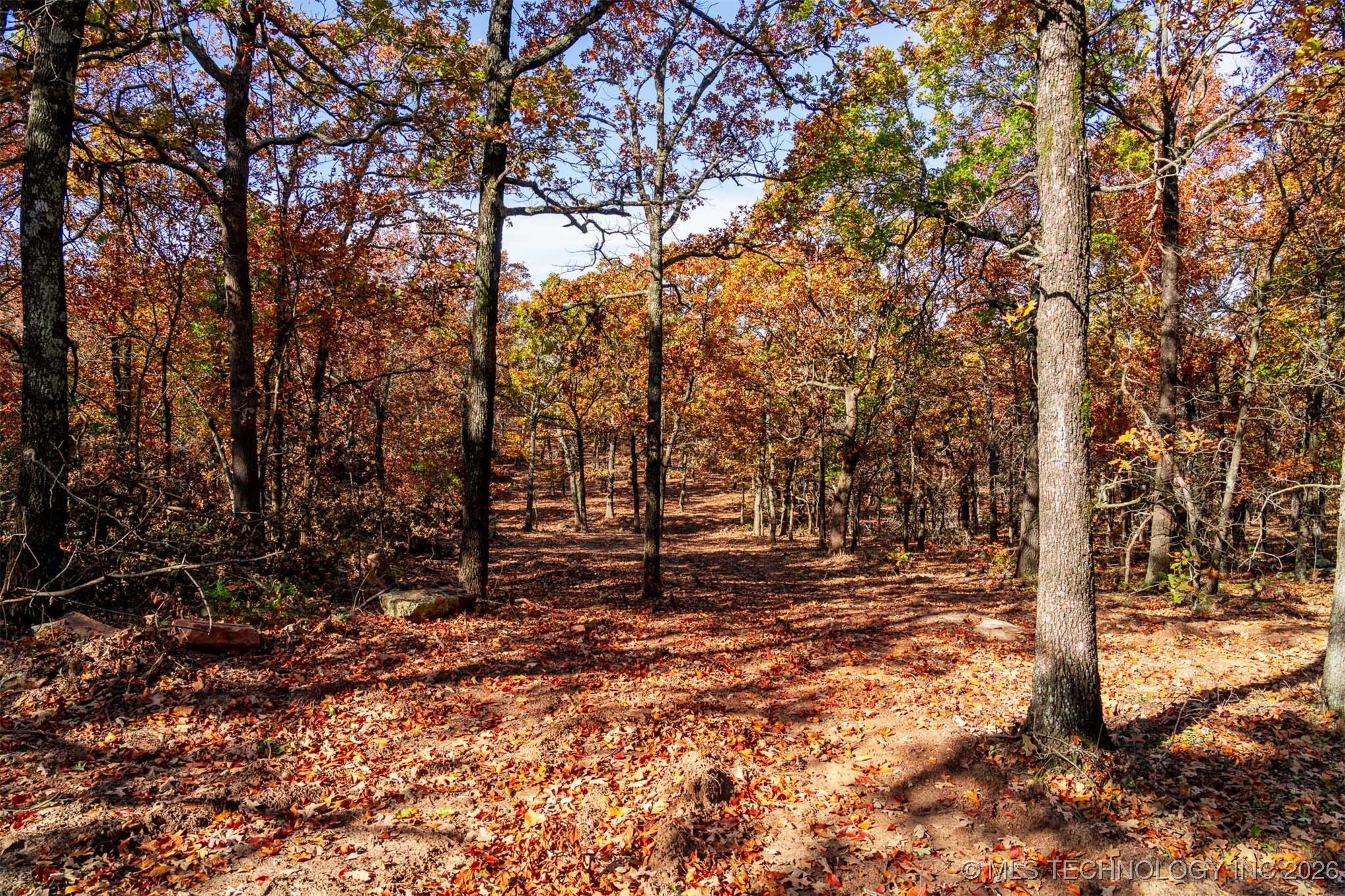 43rd Street N Property Photo 31