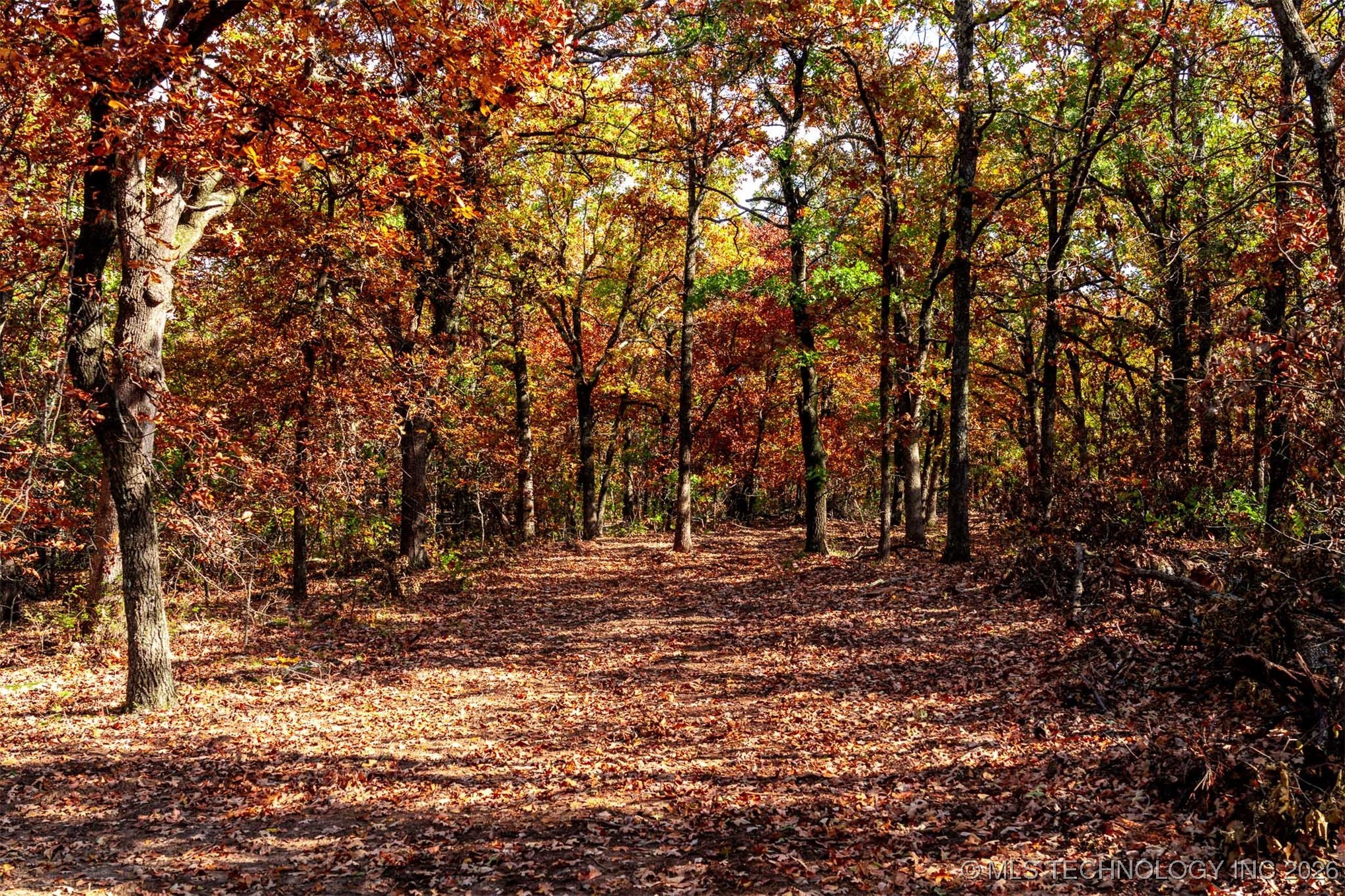 43rd Street N Property Photo 32