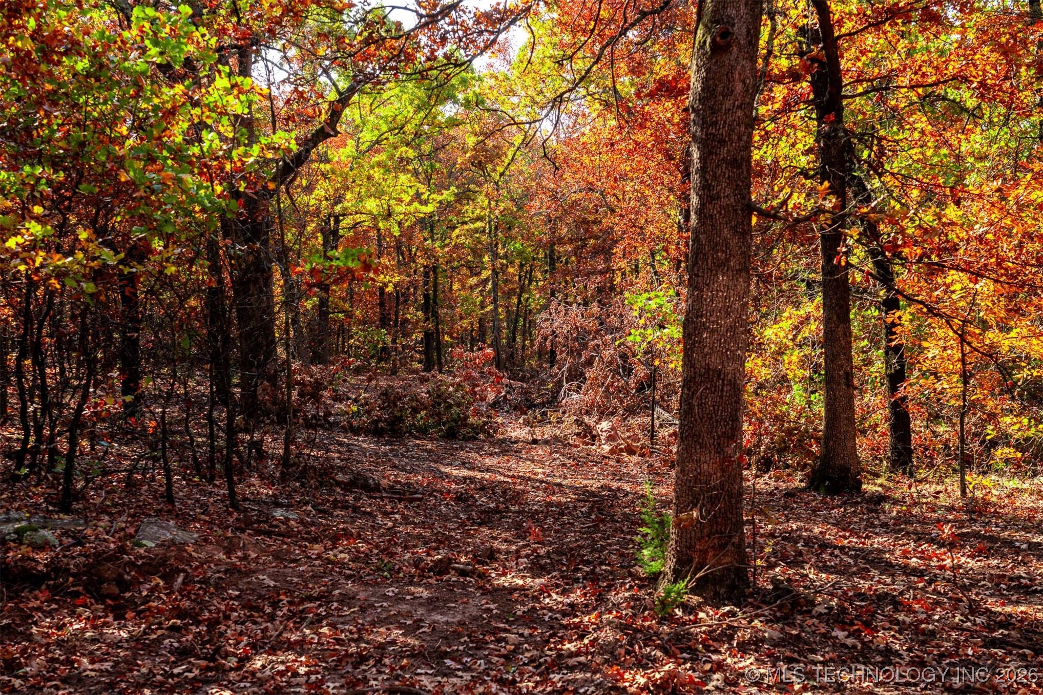 43rd Street N Property Photo 33